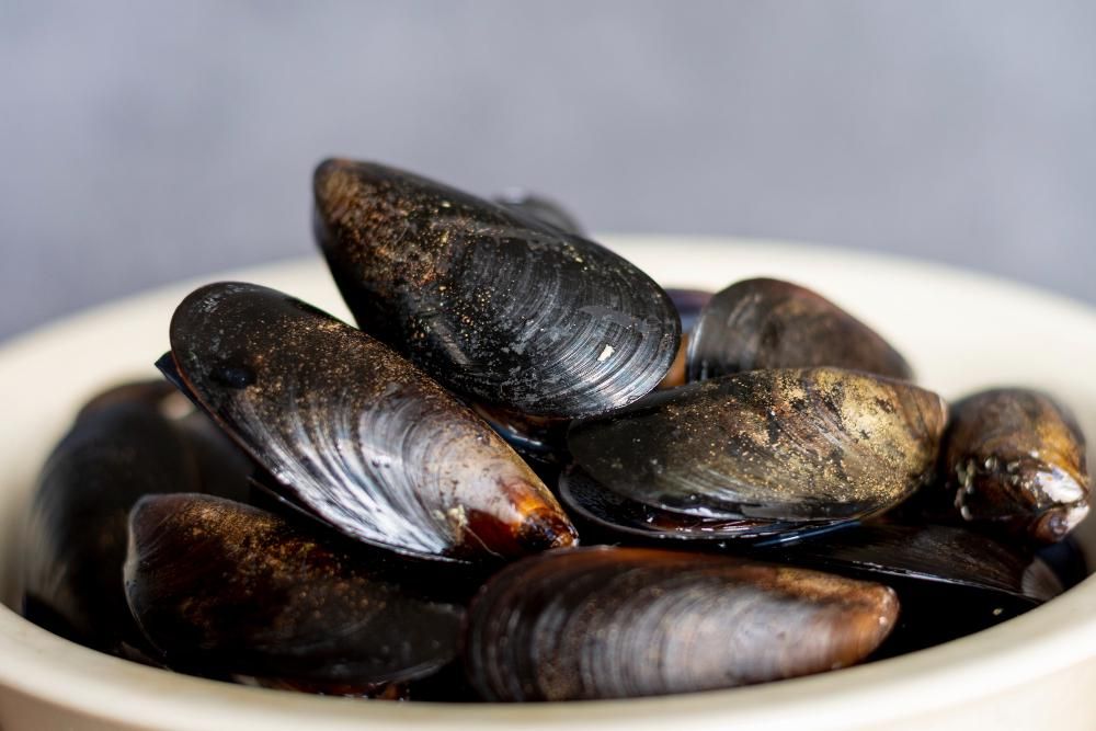 7 cara menyimpan kerang, simpan dengan wadah terbuka