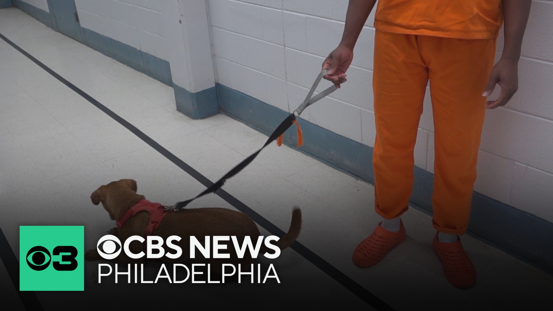 Inmates in Delaware County prepare for life after jail by training ...