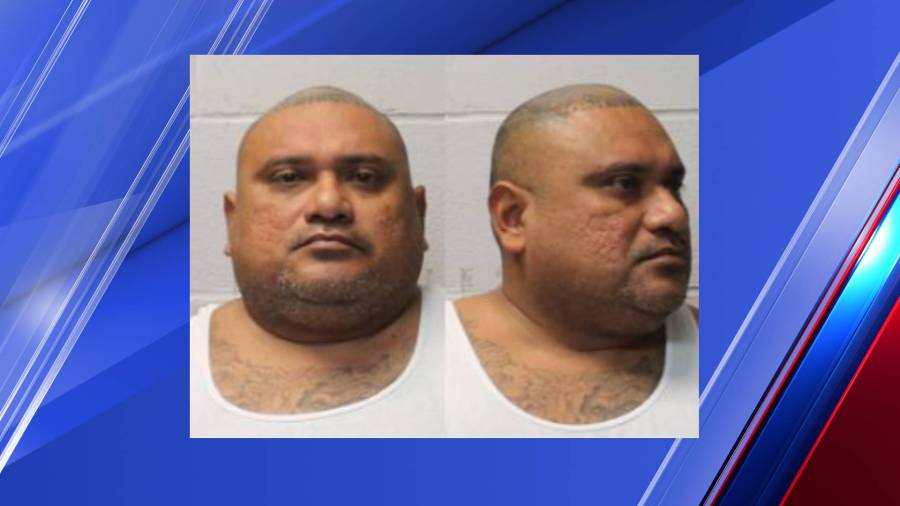 Harlingen police: 3 arrested in separate narcotic busts