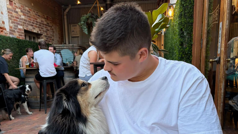 El oficial de policía de Nueva Gales del Sur, Jack Hibbert, es dado de alta del hospital tras recibir un disparo en el ataque terrorista de Bondi.