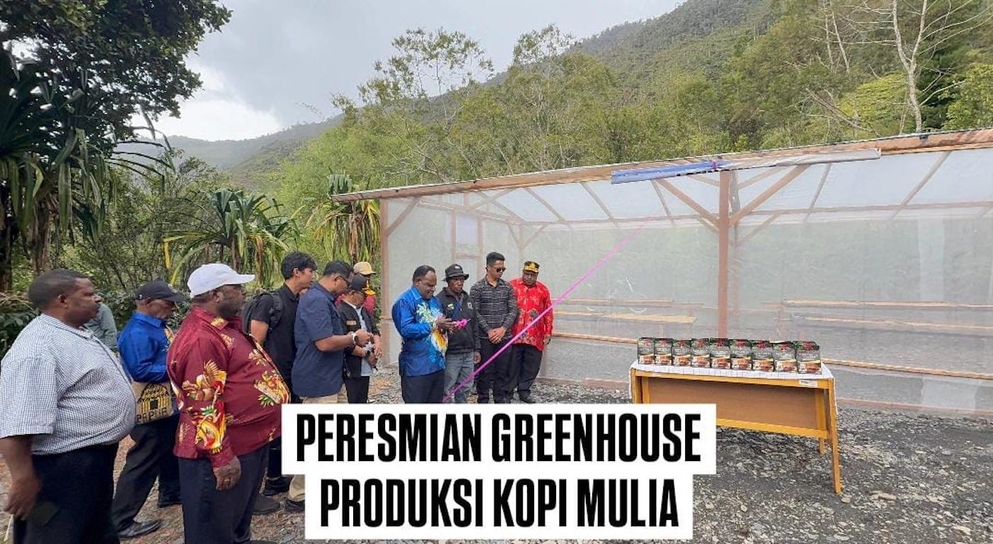 Pemkab Puncak Jaya Buka Klinik Sekolah Alkitab dan Greenhouse Kopi Mulia