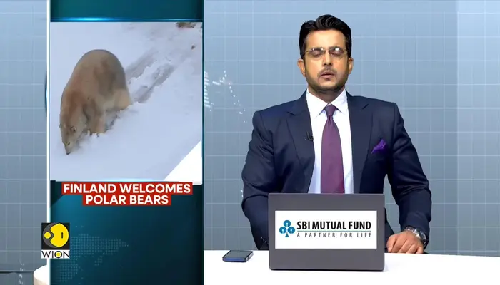 Finland leads conservation efforts to preserve polar bear population