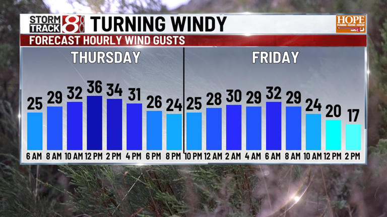Cold front to bring heavy rain and gusty winds to central Indiana ...