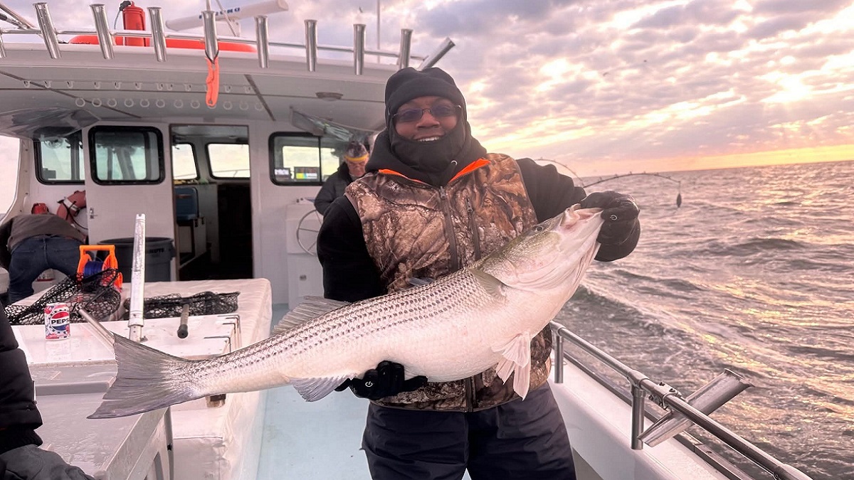 Lower Potomac teems with striped bass in late season