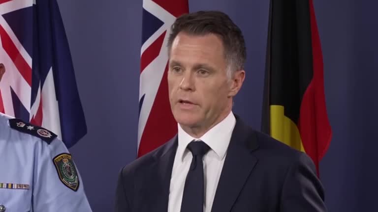 Australian state to pass emergency gun laws in wake of Bondi shootings<br>