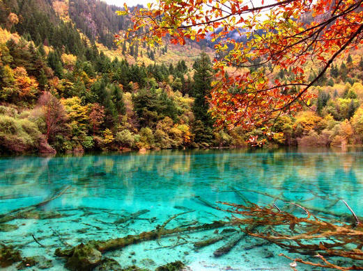 Five Flower Lake in China: Complete travel guide to Wuhua Lake