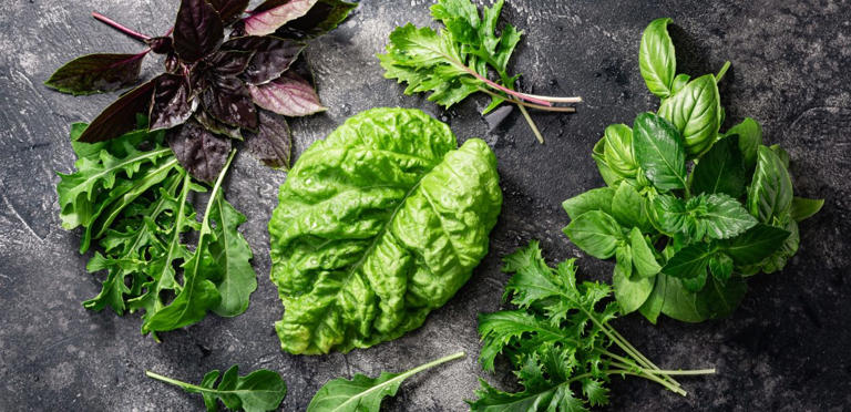 أنواع من الأعشاب