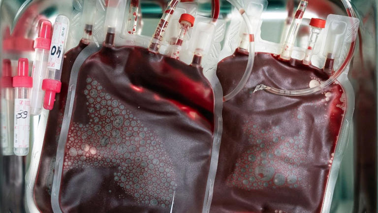 Medical miracle: Scientists have found a way to cure the incurable ...
