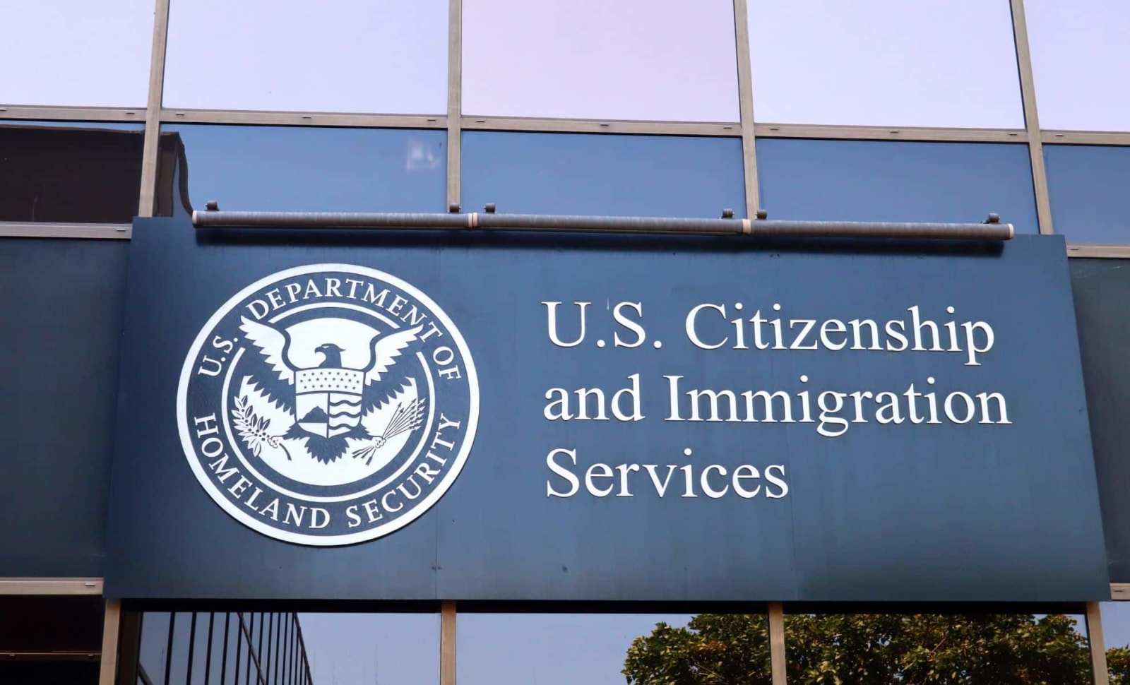 USCIS drops major update What you need to know about the new green