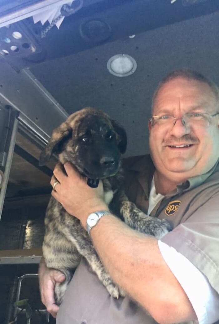 UPS driver captures the cutest 'clients' he meets on routes, and people ...