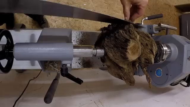 How resin and wood fuse in a root-ball project