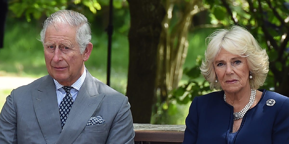 Source: Queen Camilla tried to stop King Charles from revealing cancer diagnosis<br>
