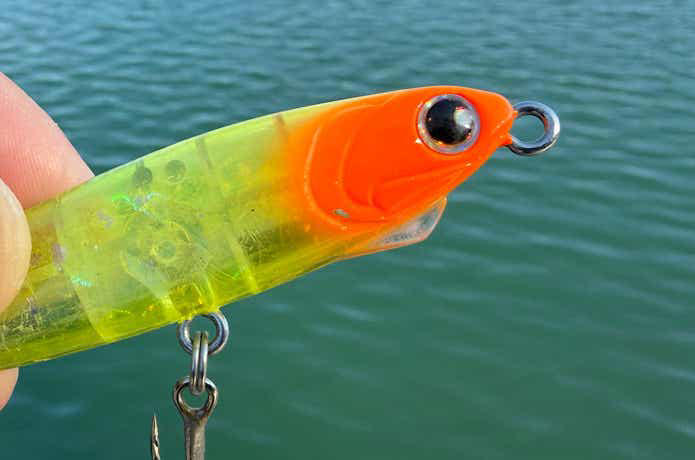 自己記録95.5cmを引きずり出したのは、たった75mmのルアーだった。