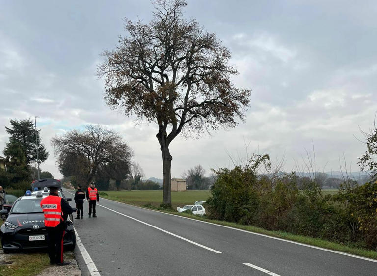 L'auto sbanda, si schianta contro un albero e finisce in un campo ...