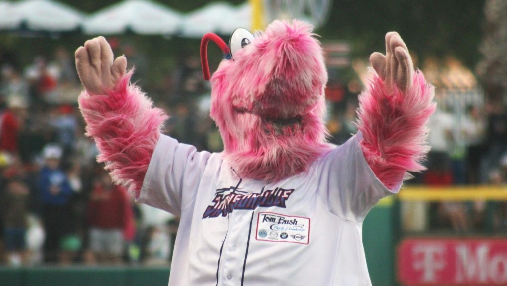 Private equity dives further into minor league baseball