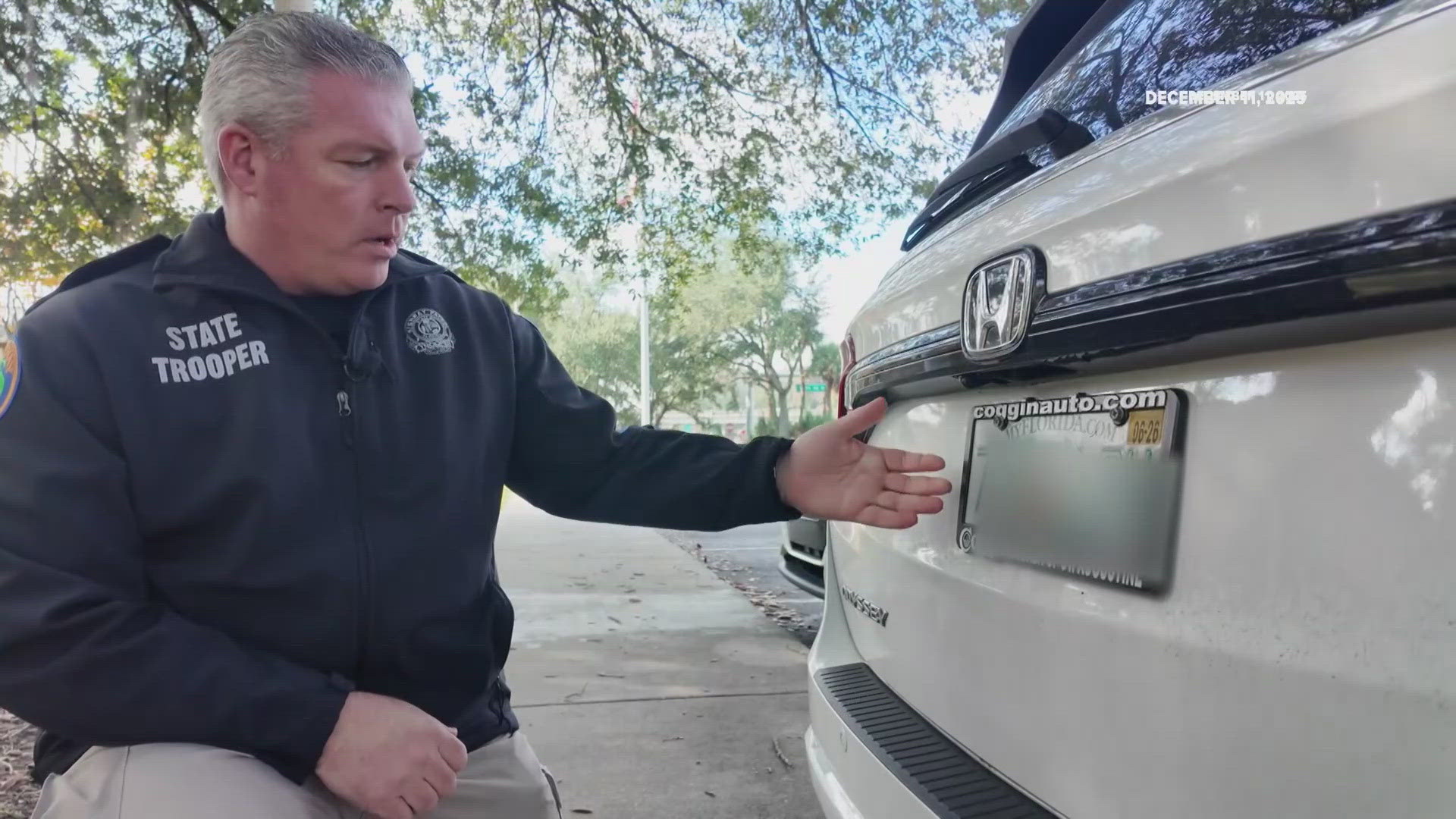 Florida's new license plate law: FHP trooper shares what drivers should ...