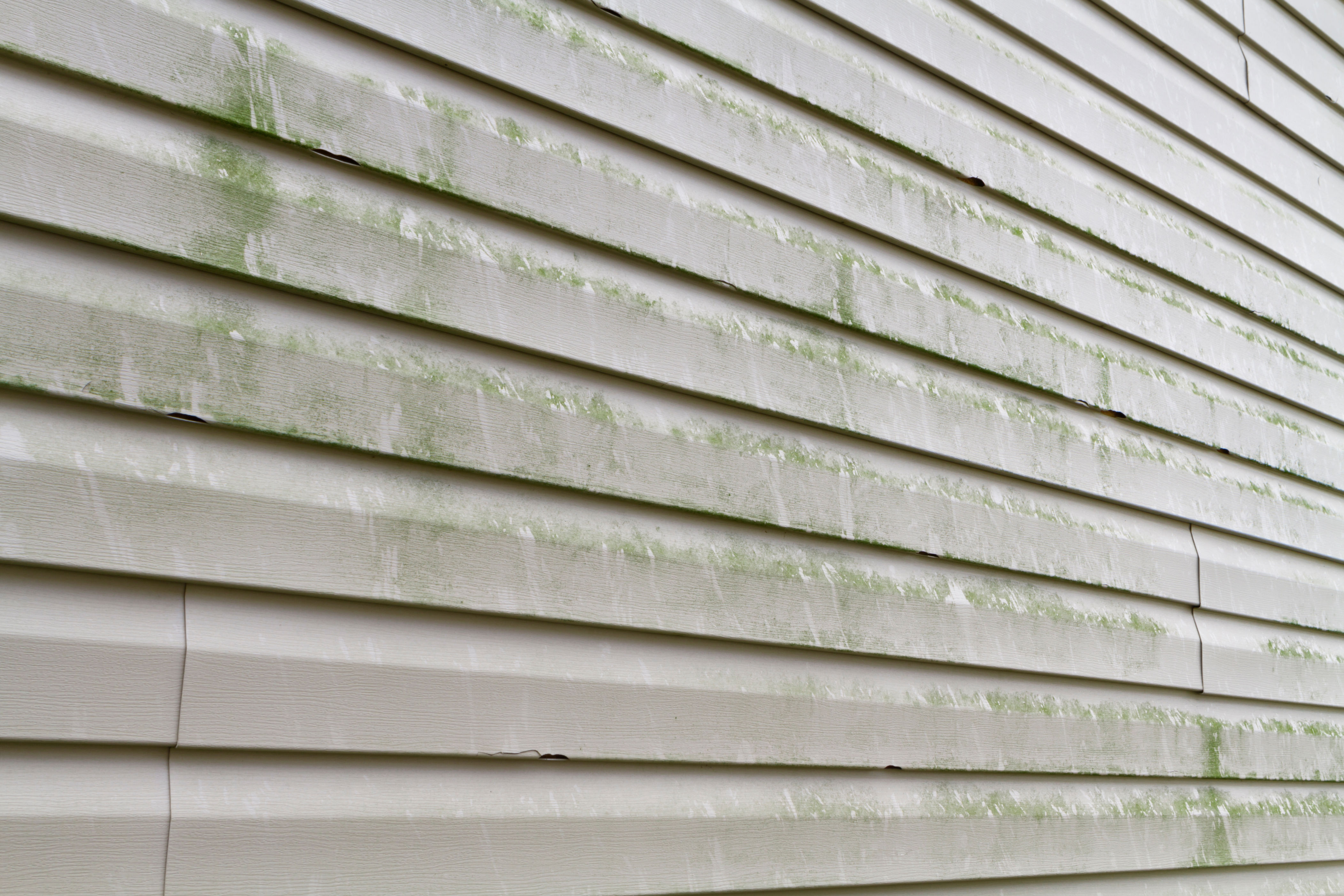 Close-up of vinyl siding with visible signs of green mold and dirt. Ideal for DIY cleaning or home maintenance topics
