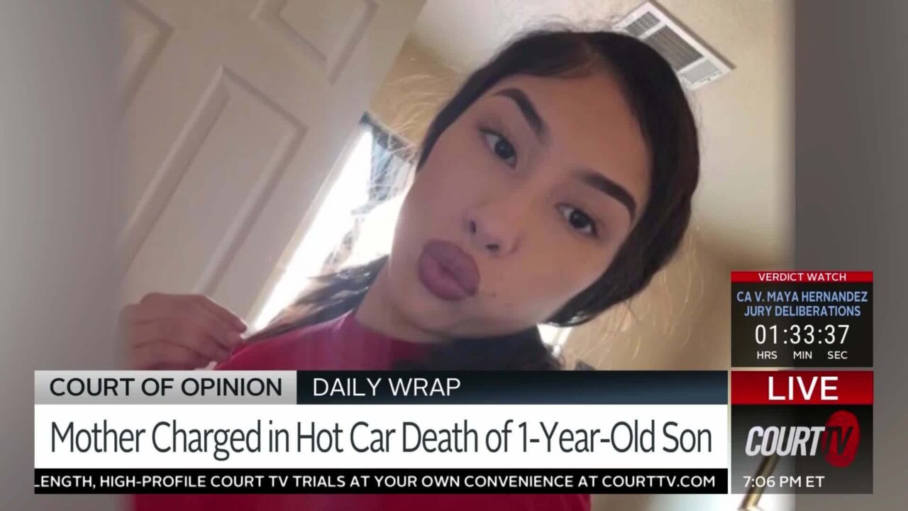 Toddler dies in hot car while mom gets cosmetic procedure | Court of ...