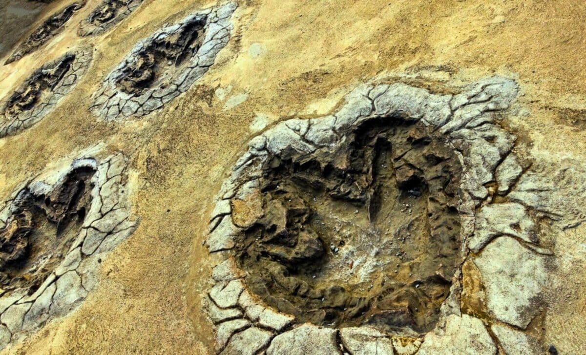 Archaeologists uncover origins of 18,000 ancient 'ghost tracks' that ...