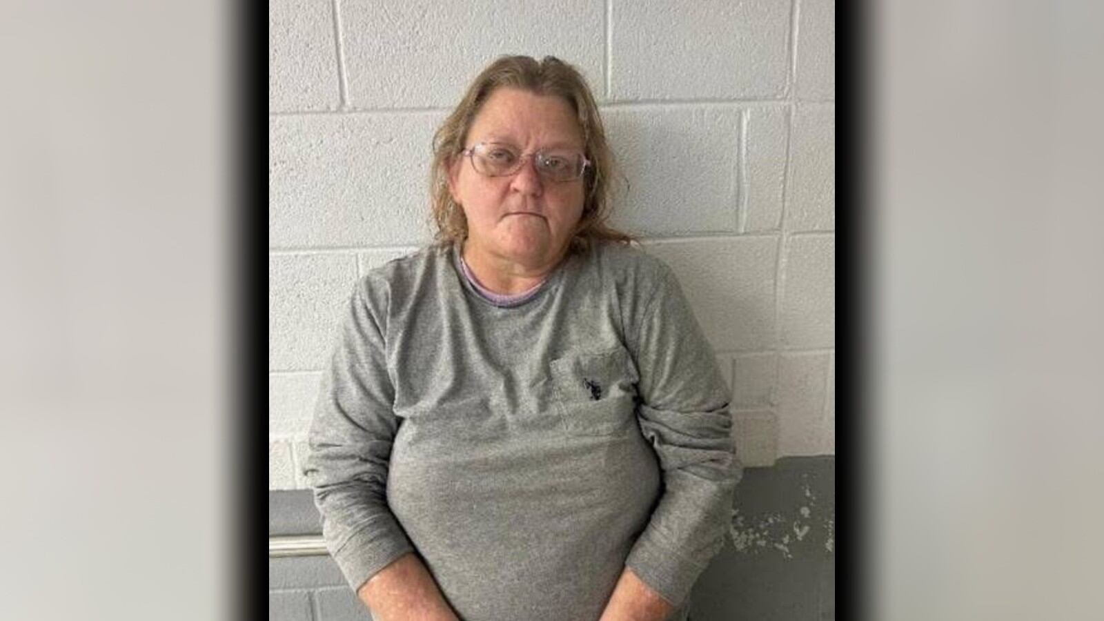 Dogs euthanized, owner arrested after pack kills Davidson County man