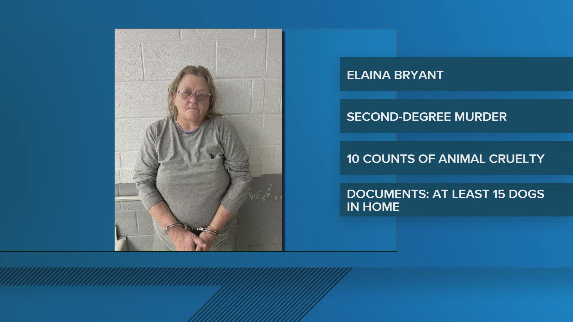 Woman arrested in Davidson County deadly dog attack