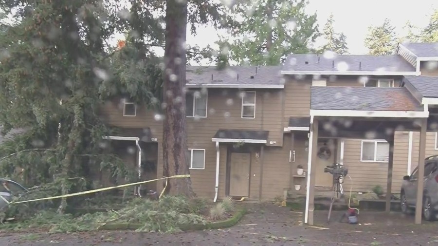 High winds bring down tree that lands on bed in Tualatin apartment complex<br><br>