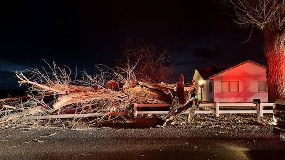 High winds topple trees, injure two children, and cause power outages ...