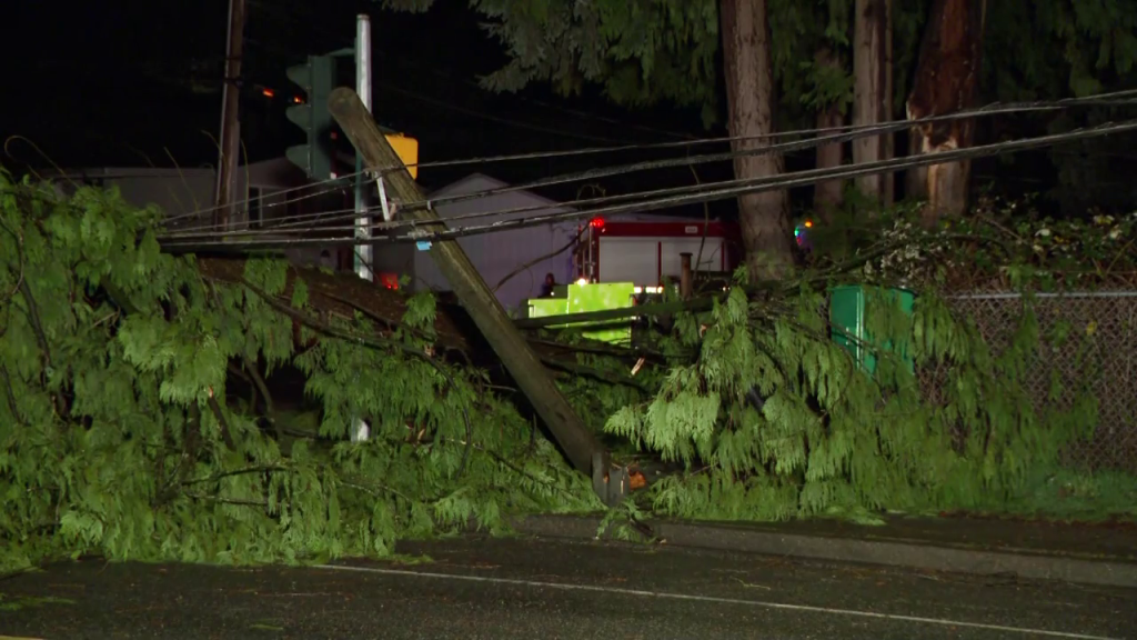 100,000 BC Hydro customers without power as storm pummels parts of BC