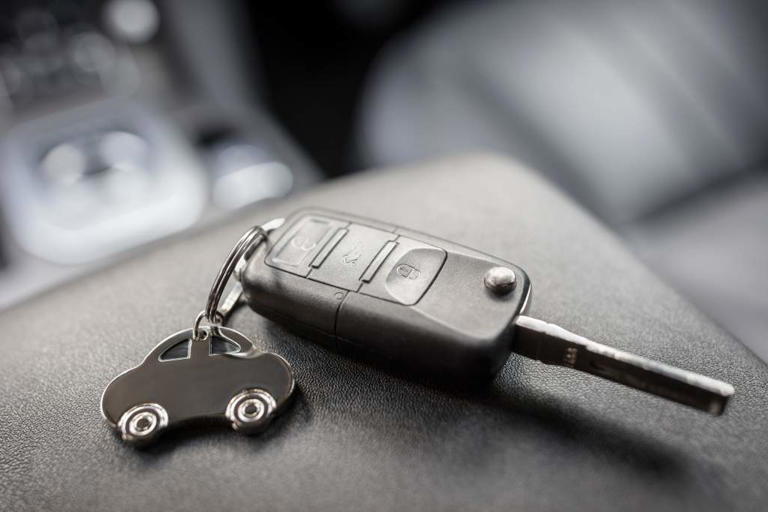 306 stolen Canadian vehicles bound for Middle East, West Africa recovered