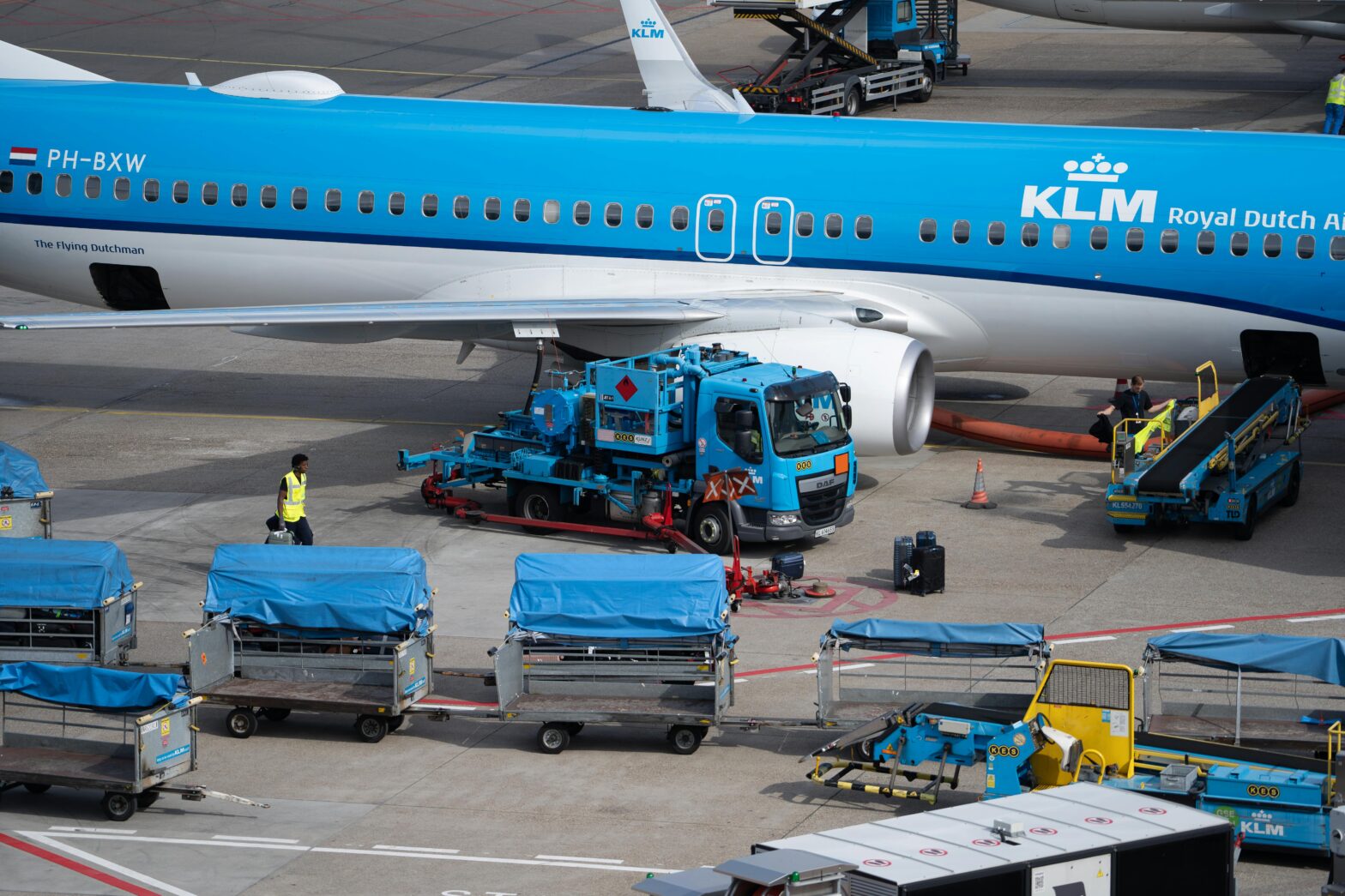 Stowaway rat forces KLM flight cancellation after causing chaos in ...