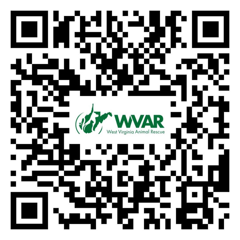 Holiday quilt raffle fundraiser | Huntington Cabell Wayne Animal ...