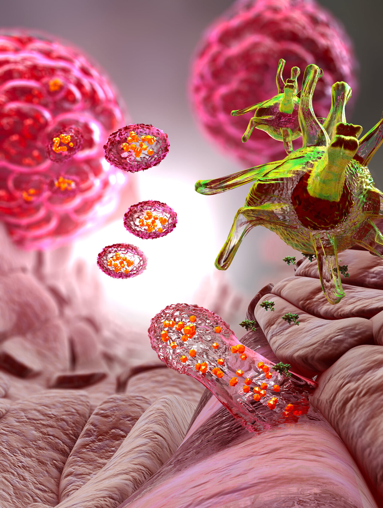 Engineered Dendritic Cells Boost Cancer Immunotherapy