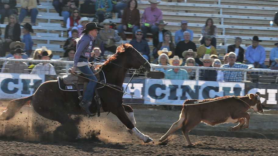 Kimes Ranch $1 million breakaway starts in Scottsdale after EHV-1 scare