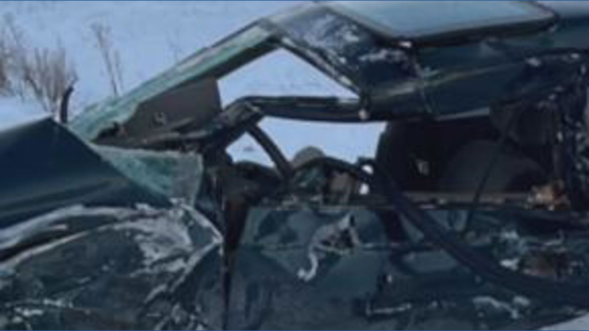 Lake Odessa man survives being hit by train