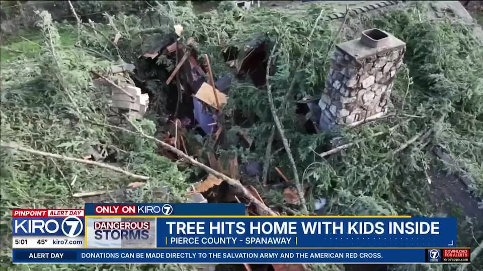 Video: Tree hits home with kids inside