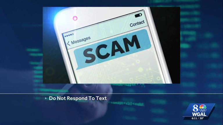 Viewer's experience with scam text message highlights dangers of ...