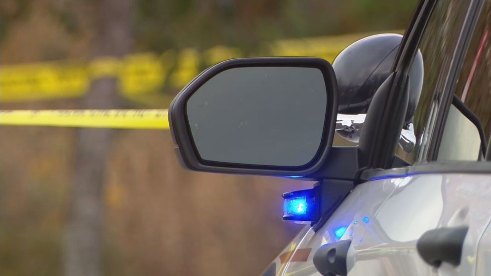 Mother charged with vehicular homicide of her son after suspected ...