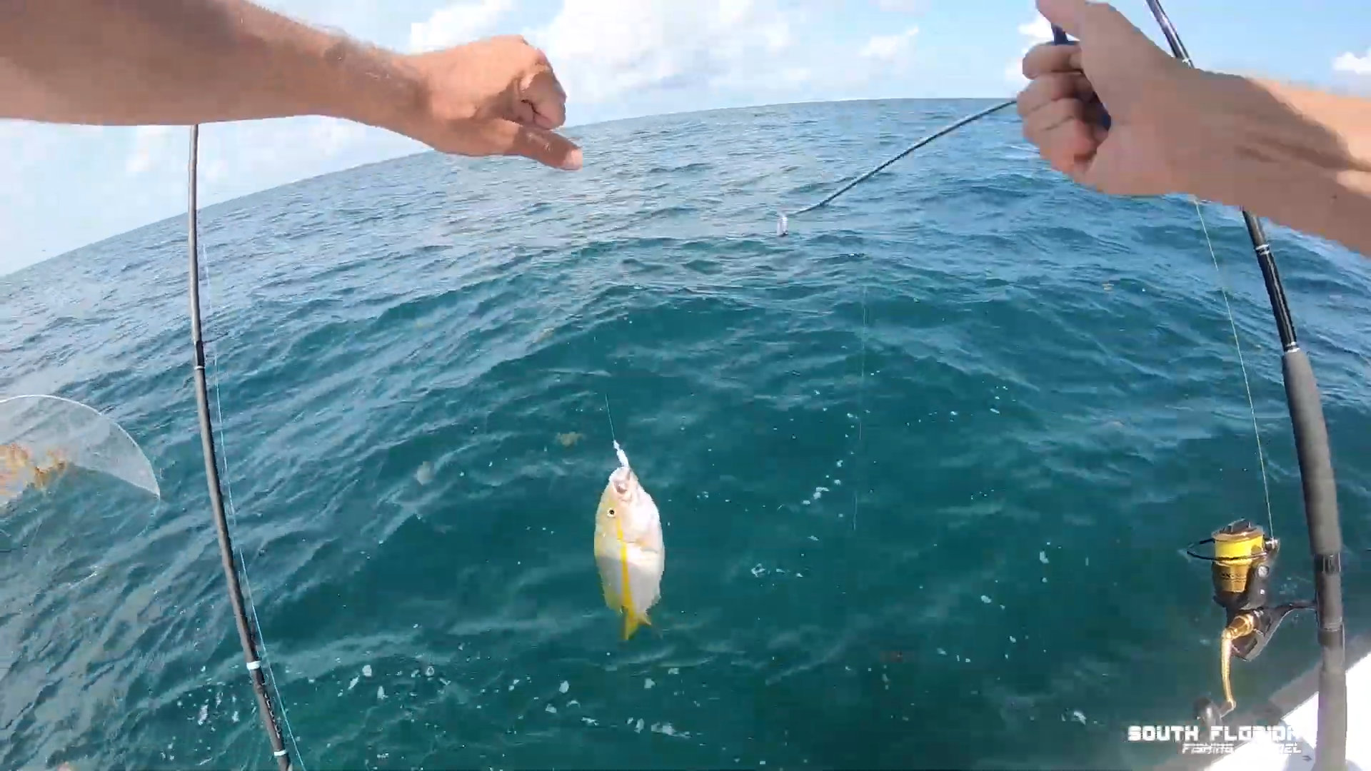 Giant snapper heads turned into Key Largo survival soup
