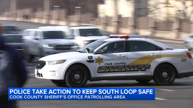 Cook County Sheriff's Office taking action to keep South Loop safe ...