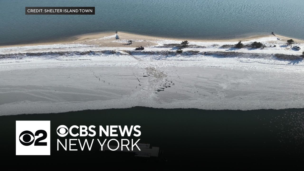 2 people, dog rescued from frigid water off Shelter Island