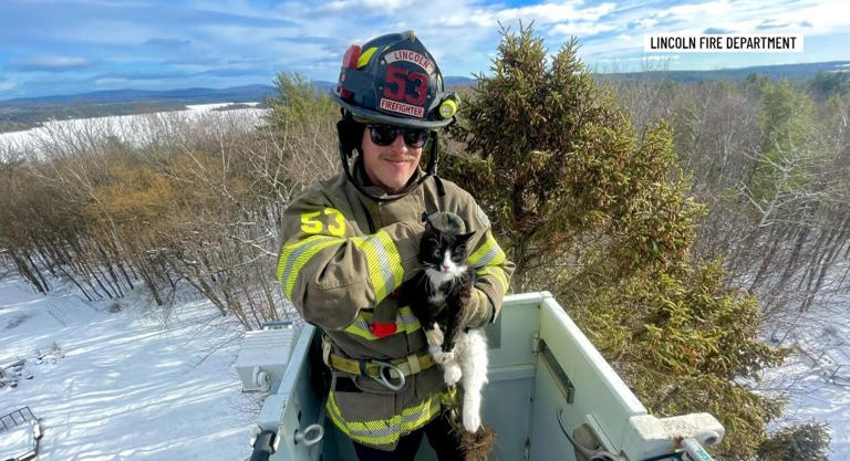 New firefighter makes the purr-fect rescue