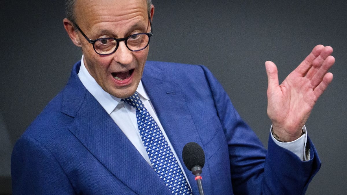 Merz wirft sich rein