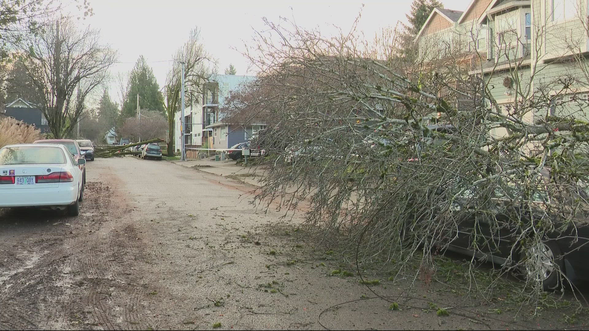 Portland residents recovering after strong winds take down trees, power ...