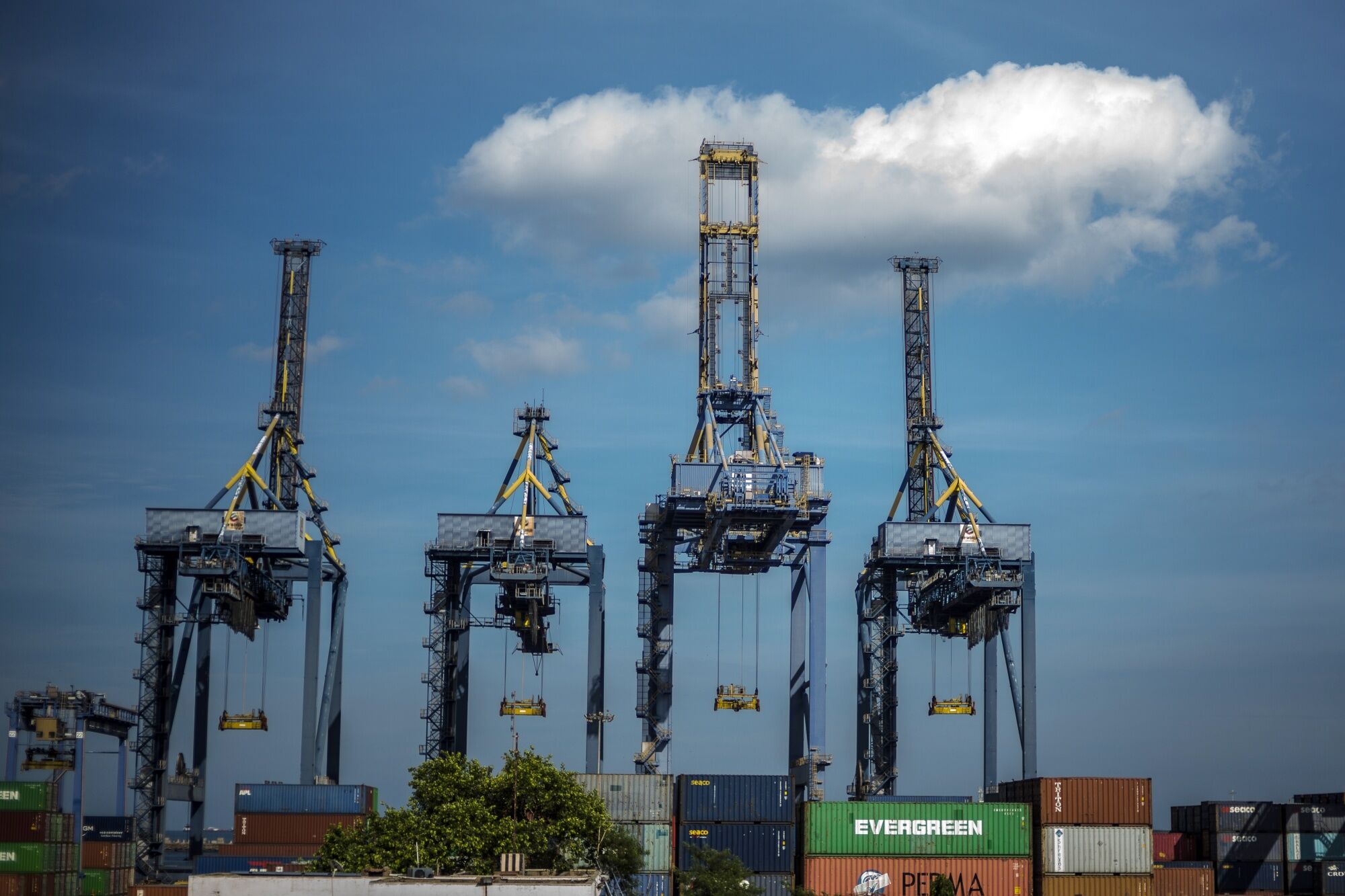 India’s key export state says US tariffs decimating industries<br>