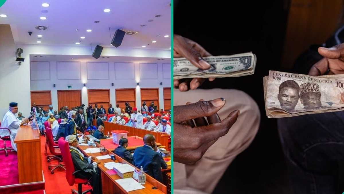 Find out more as CBN exchange rate for 2026 approved by Nigerian Senate