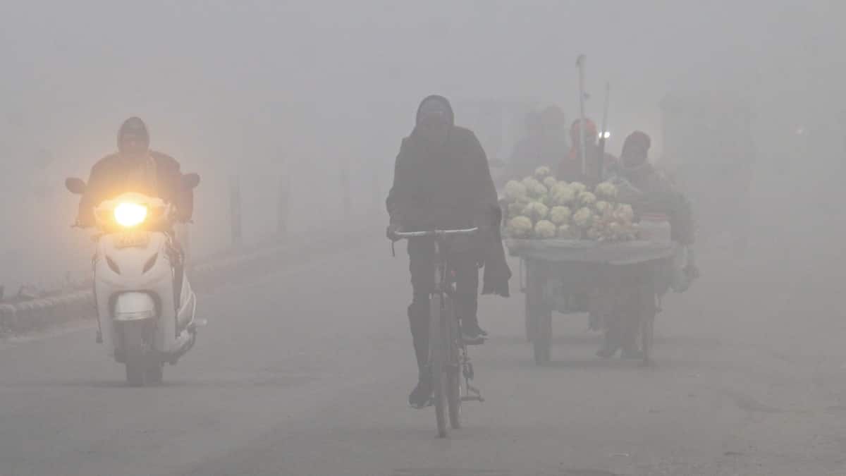 Delhi-NCR shrouded in dense fog amid bone-chilling cold, IMD issues ...