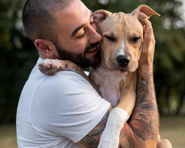Pit bulls as therapy dogs: Can they really change lives?