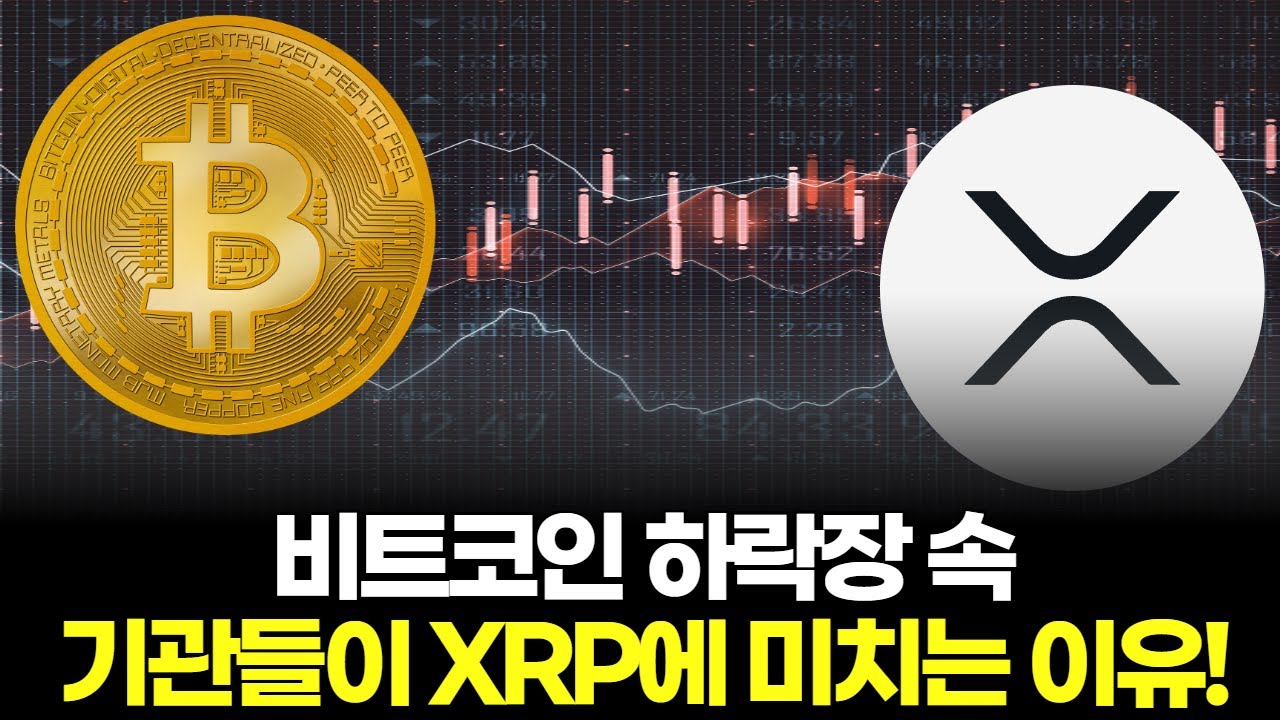 비트코인 하락장 속 기관들이 XRP에 영향을 미치는 이유 | Watch