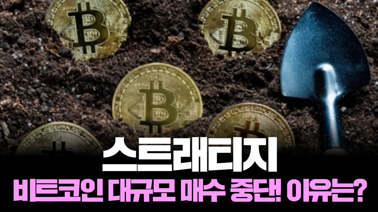 마이클 세일러, 비트코인 대규모 매수 중단! 이유는? | Watch