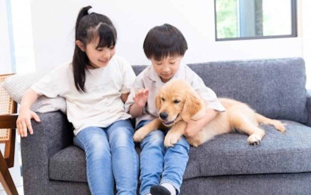 Having dogs impacts teens’ social skills, according to Japanese study